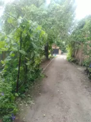 ������ �������� ��. ������� ���� 2