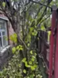 ������� �� ���� ��������� ���� 4