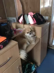 ��������� �������� ������� ���� 3