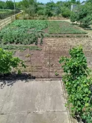 ������ ���� � ���������� ����������� ���� 9