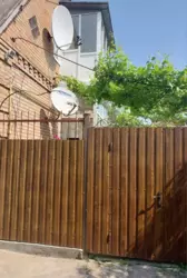 ������ ������� � ����� ���� ���� 15