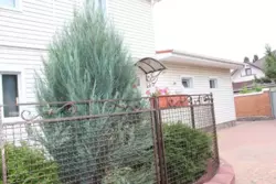 ������� ��� ������� ���� ���������� �������� ������������� ���� 1