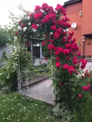 ������ �������� ������� � ����� ���� ���� 4