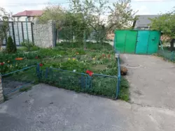 ������� 56 �²,������ ���� 2