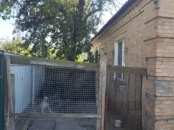 ������ ������� �� �������� ���� 2