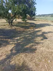 Будинок з великою ділянкою до річки фото 6 Будинок з великою ділянкою до річки фото 6