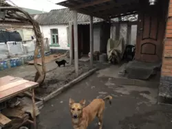 �������� ������� � ������� �� ��� +������� ���� ����� � ����� ���� 7