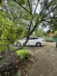 ������ ����. 2 ������. ������ ���� 11