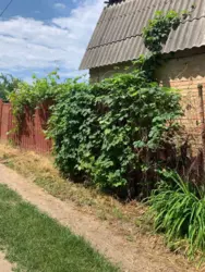 Продам дача 2 домика Полтавська фото 3 Продам дача 2 домика Полтавська фото 3