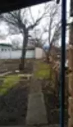 ������ ���� ��������� ���� 1