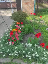 Продам жилу дачу в СТ 'Радист'. 20 соток. фото 5 Продам жилу дачу в СТ 'Радист'. 20 соток. фото 5