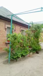 ������ ��� ���� �� ����� ������� � ������������ ���� 2