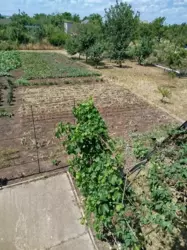 ������ ���� � ���������� ����������� ���� 11