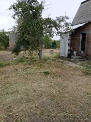 ������ ���� ���������� '������' ���� 5