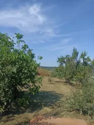 Будинок з великою ділянкою до річки фото 7 Будинок з великою ділянкою до річки фото 7