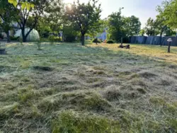 ����� ������ ����������� � ����. '������' ��. ���������. ���� 11