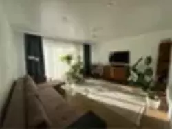 ������� ֲ�� ��������� �������� ���� 11