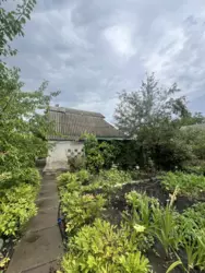 ������ ����. 2 ������. ������ ���� 8