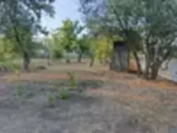 �������� ������ ���� ���������� ���� 11