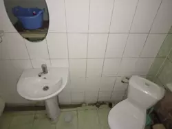 ������ �� ������� ���� 19