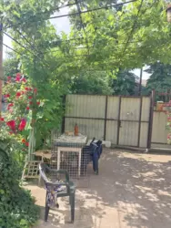 ������ ������� � ����� ���� ���� 13