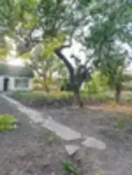 �������� ������ ���� ���������� ���� 12