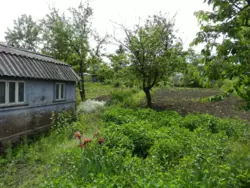 �������� ���� ���������� ���� 5