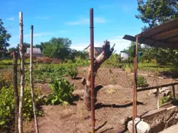 ���� ��� ���������� �� ��� ���� 6