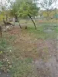 ������ ���� ��������� ���� 1