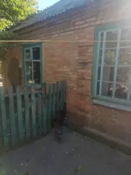 ��������� ��� ������� �-� ����� ��������� ���� 6