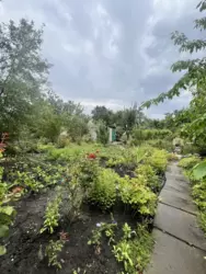 ������ ����. 2 ������. ������ ���� 12