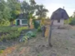 �������� ������ ���� ���������� ���� 5