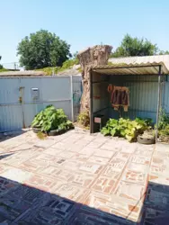 ���-�������� ����� ������� �� �������� ���� 1