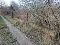 ������ ���� ����� ���������� � ����������� ���� 3