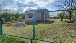 ������ ������ ���������� ����������� ���� 12