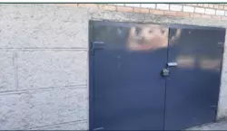 ������ ������� ��� 2-� ������� ���� 12