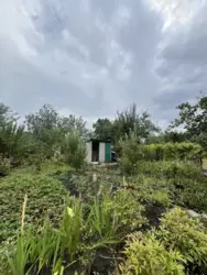 ������ ����. 2 ������. ������ ���� 7