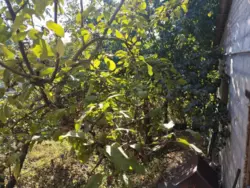 ������ ������� �� �������� ���� 10