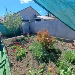 ��������� ������� �������������, ʳ������������ ���� 16