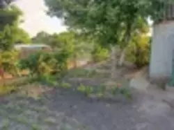 �������� ������ ���� ���������� ���� 7