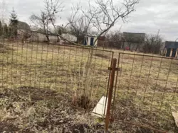 ĳ� ���� ��� ���� 5