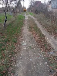 ������ ���� ����� ���������� � ����������� ���� 1