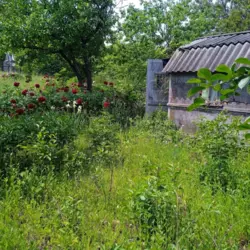 �������� ���� ���������� ���� 1