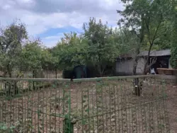 Продаж частини будинку на Великій Балці/Полтавська фото 5 Продаж частини будинку на Великій Балці/Полтавська фото 5