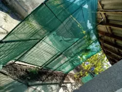 ������ ������� �-� ������ ������� ������ ���� 5