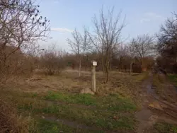 ������ ���� ����� ���������� � ����������� ���� 4