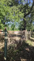 Продам дачу ст.Песецкого фото 4 Продам дачу ст.Песецкого фото 4