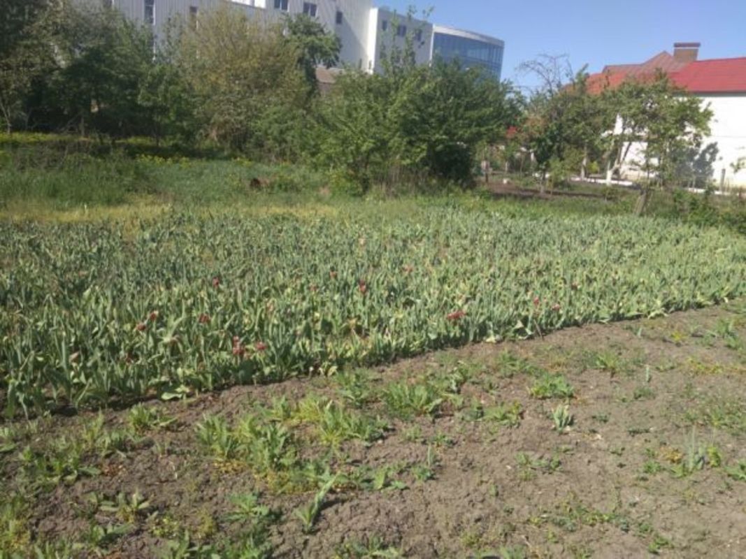 ������ ������� ���� 1