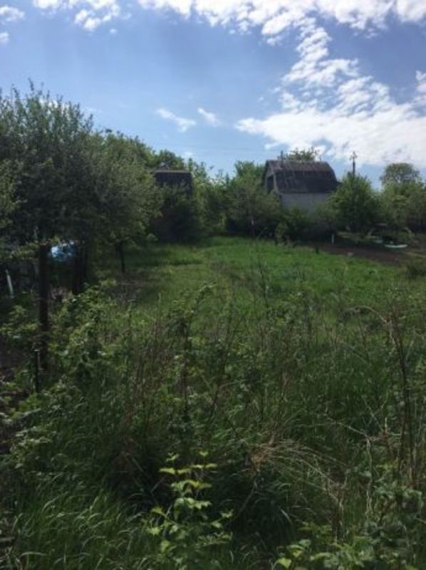 ������ ���� ���� 1