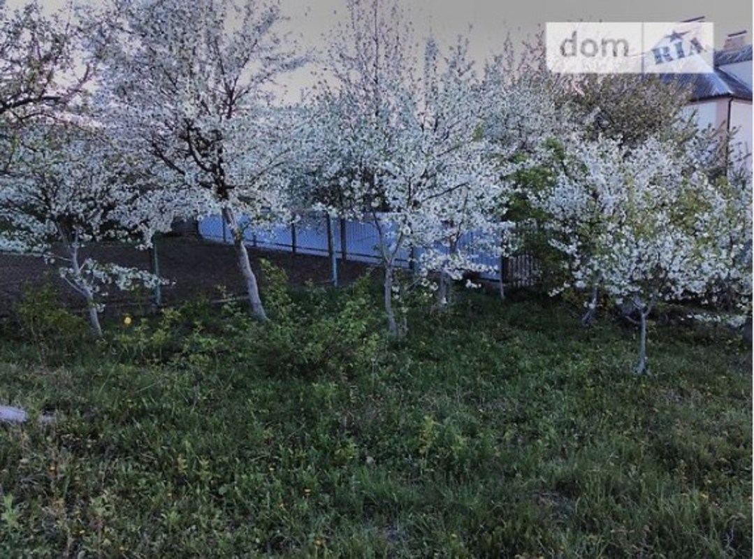 ��������� ��� �����������, �����������, �������� ���� 1